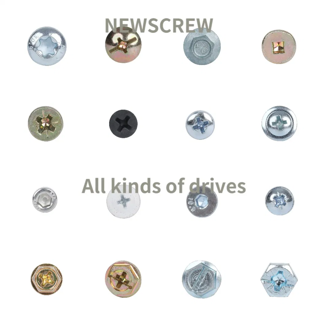 Supply All Kinds of Screws-Drywall Screw-Chipboard Furniture Screw-Self Drilling Screw-Roofing Screw-Decking Screw-Wood Screw-Machine Screw-Self Tapping Screw