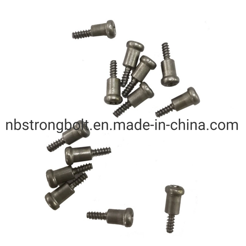 Special Step Shaped Screw Non- Standard Screw